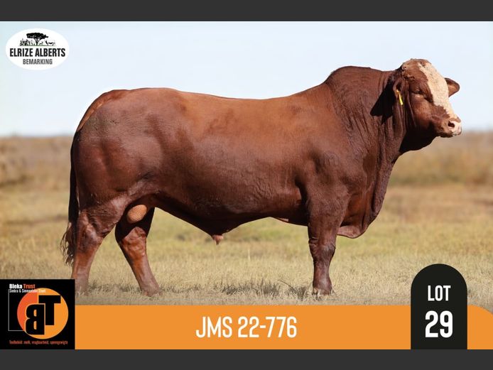 JMS22776