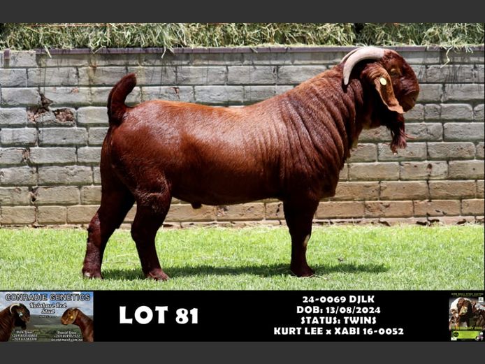 24-0069 DJLK | DIRK LOUW