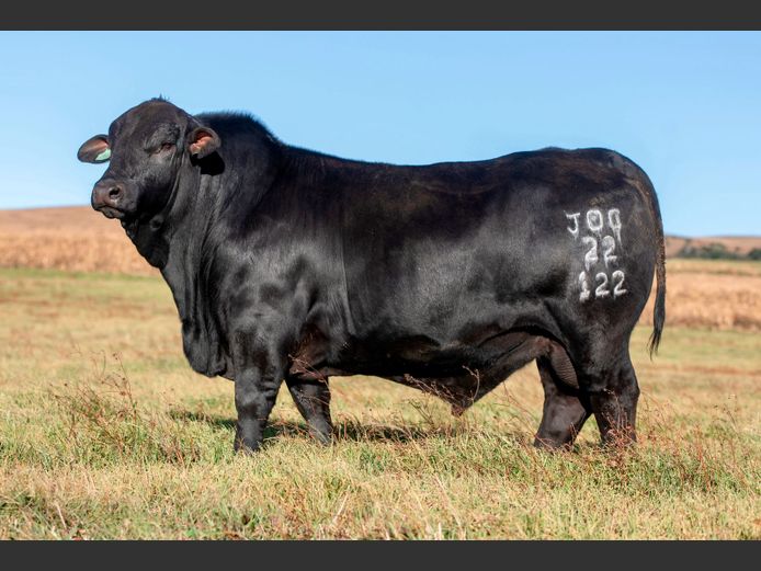 JOC 22122