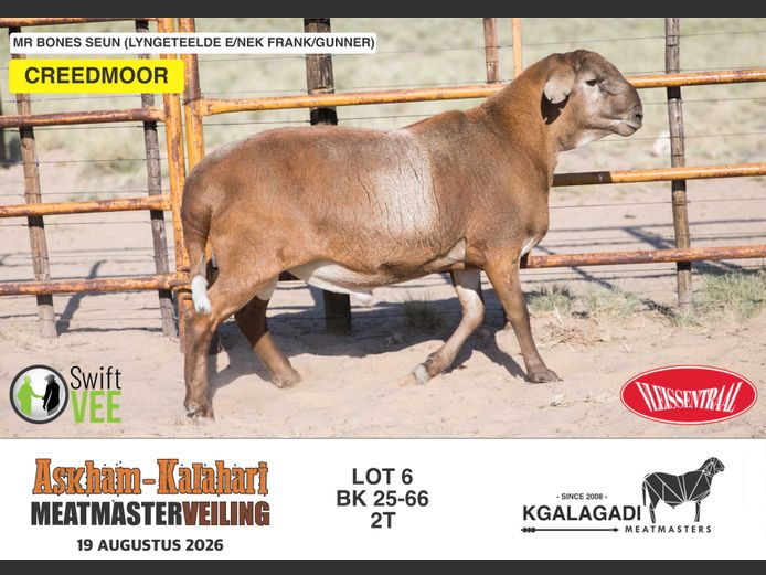 BK 25-66 | BARRI KNOETZE