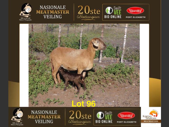 24.317 | Karoo Shalom Meatmasters