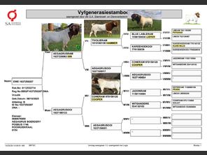genetic_data