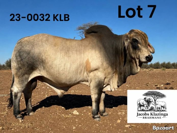 23-0032KLB | JACOBS KLAZINGA BRAHMANE