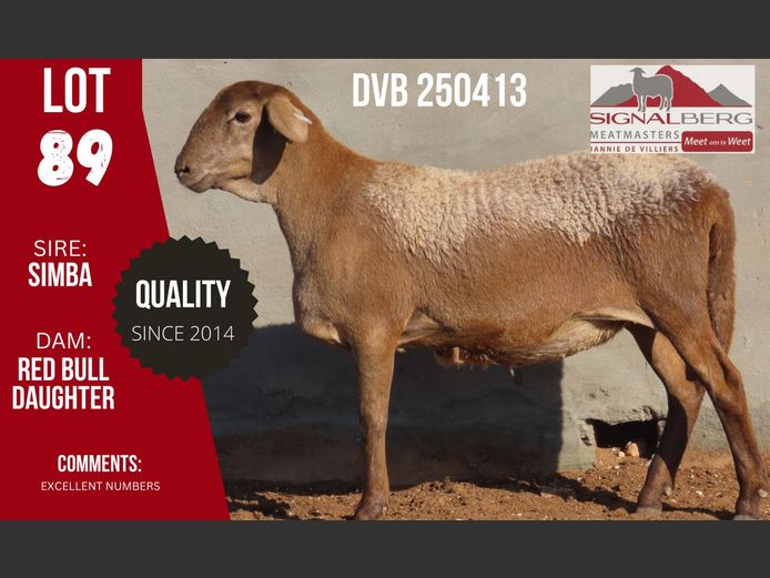 DVB 250413 | SIGNALBERG MEATMASTERS