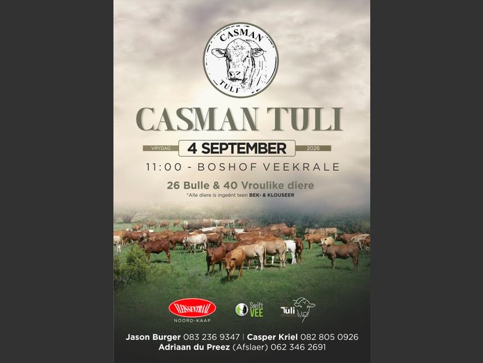CASMAN TULI VEILING