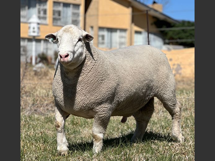 JB 240050 | J.A. BARNARD