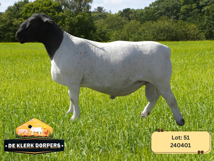 240401 | DE KLERK DORPERS