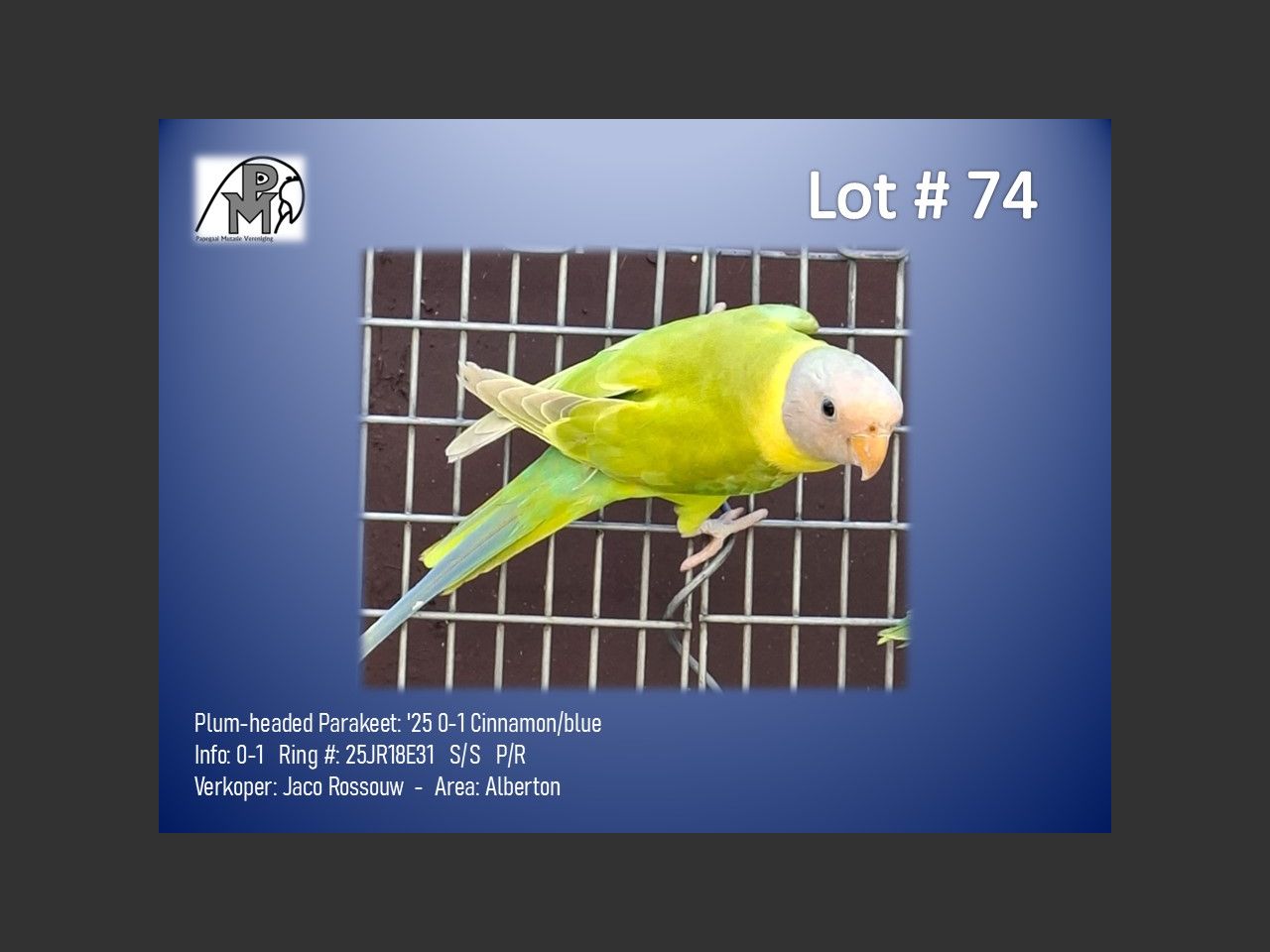 images