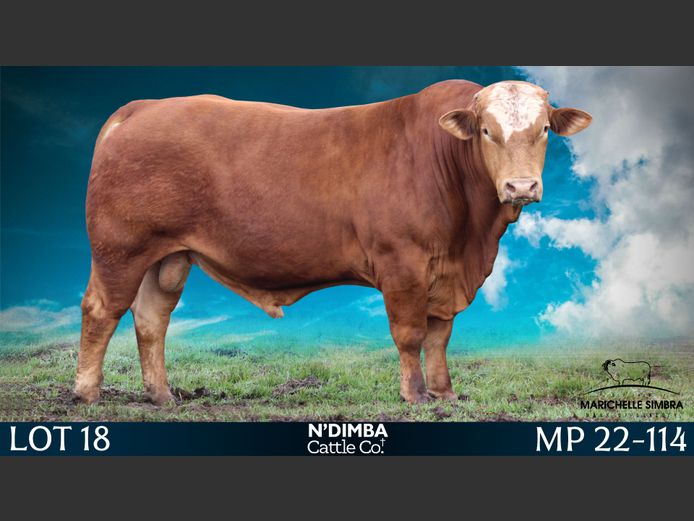 MP22114