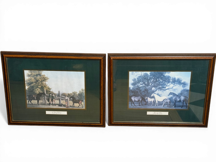 Pair of Framed Horse Prints (Classic Equestrian Style)