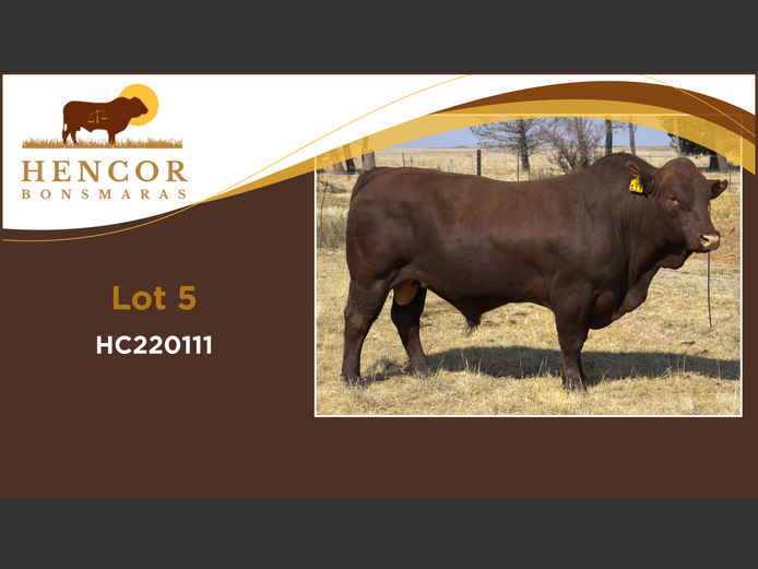 HC  220111 | HENCOR BOERDERY