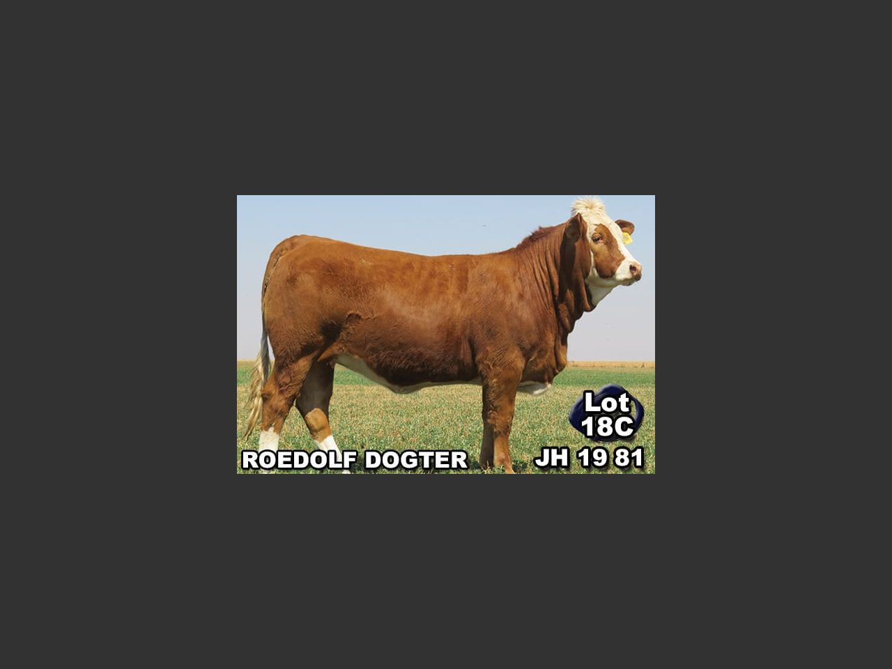 images