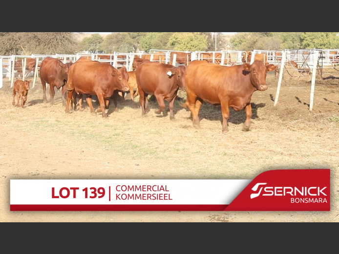 Commercial Animals