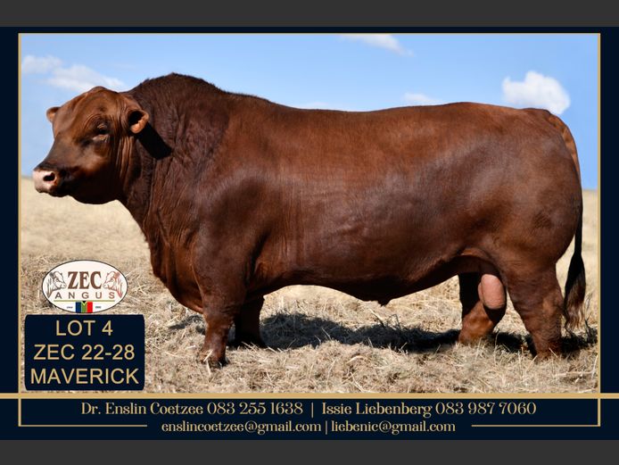 ZEC 220028 | Z.E. COETZEE