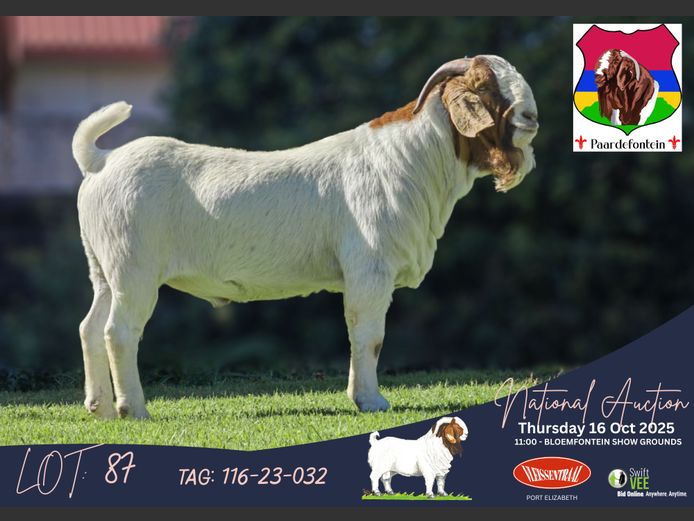 116-24-032 | SW Malan (Paardefontein)