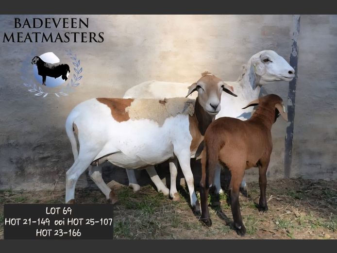 HOT 23-166 | Badeveen Meatmasters