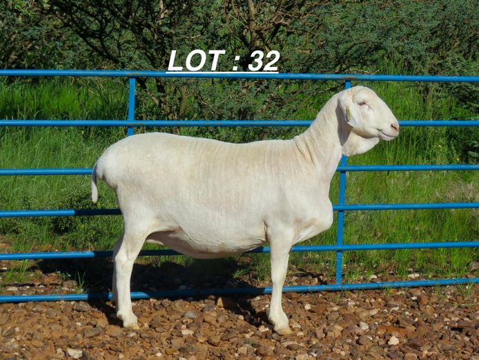 34 22 0057 | Louis v Rensburg h/a Leeuput Trust 