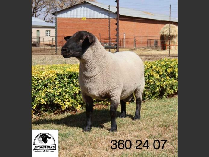 360240007 | J.I. POTGIETER