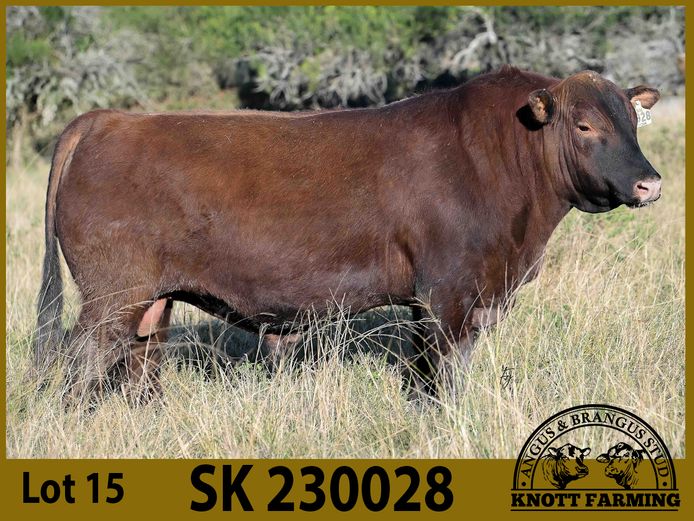 SK 230028 | KNOTT FARMING (PTY) LTD