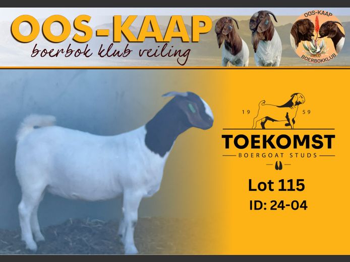 24-04 | Johnny Henderson