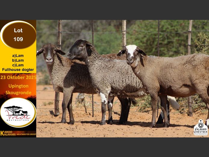 PS 109C | Peter & Christia Scholtz - Vrede Meatmasters