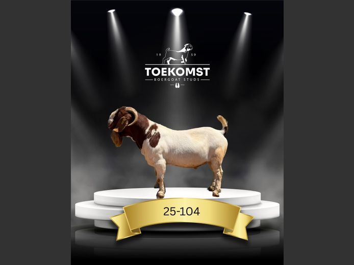 23-104 | Toekomst