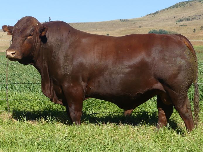 LAR 230042 | UP GEORGE FARMS CC