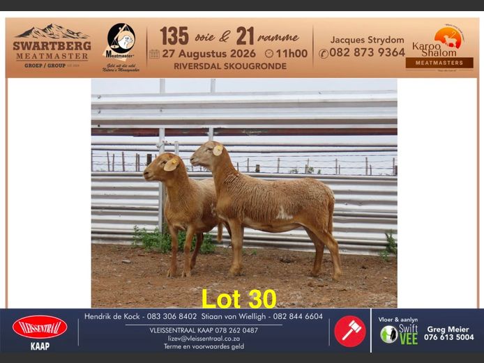 D25.264 | KAROO SHALOM