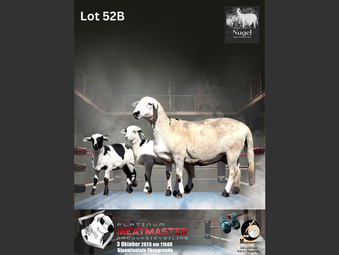 NM25 3508 | Nagel Meatmasters
