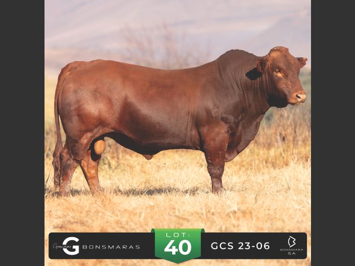 GCS 230006 | G.C. STANFORD