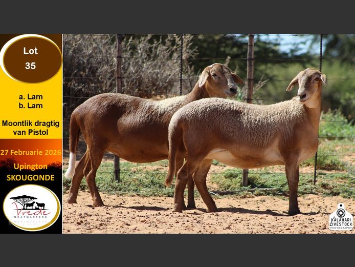 PS 35B | Peter & Christia Scholtz - Vrede Meatmasters