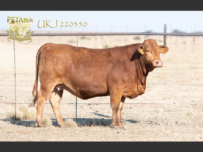 UKJ 220350