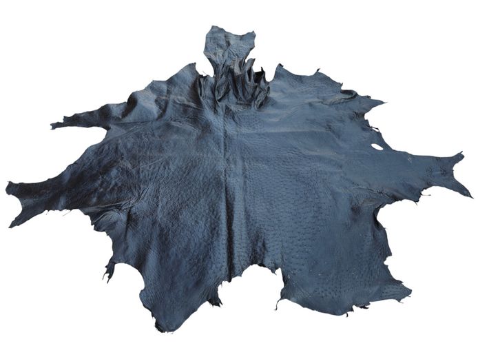 Genuine Black Ostrich Leather Game Hide Skin