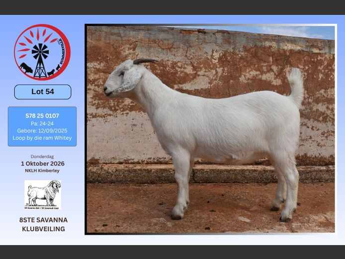 78 25 0107 | Hanno Jordaan - Summerville Savannas
