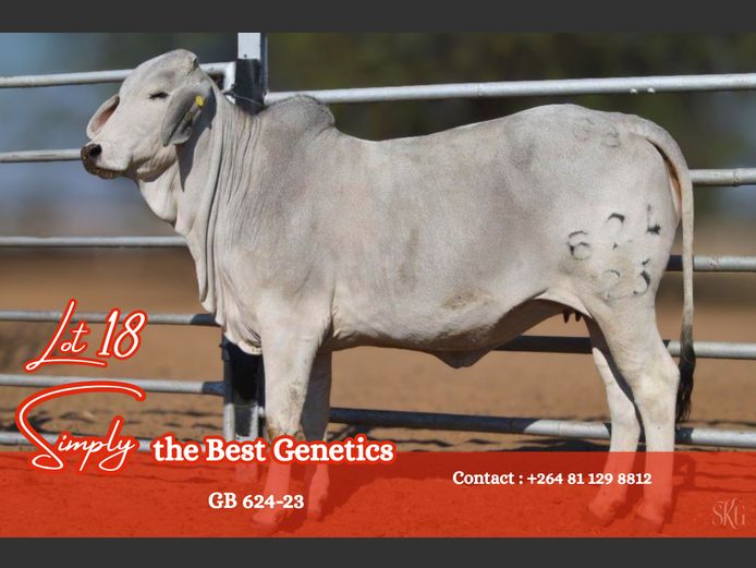 23-0624GB | GROENEWALDT BRAHMANE