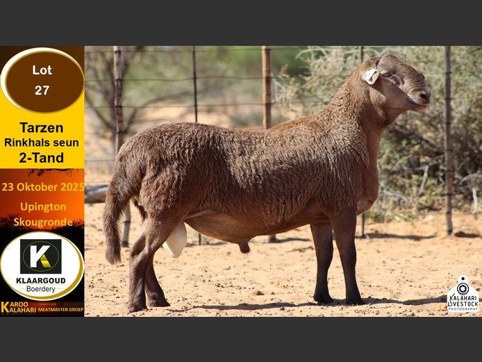 CP 27 | Chris Potgieter & Christia Scholtz - Klaargoud Boerdery