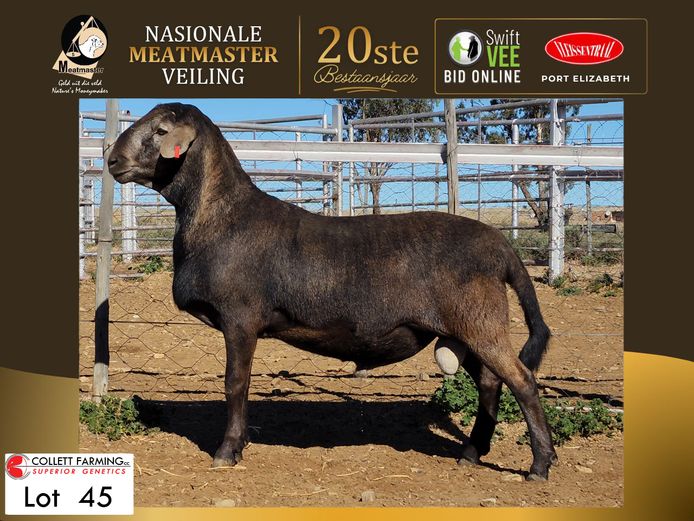 CC 250063 | COLLETT FARMING CC
