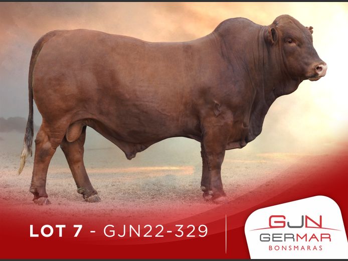 GJN220329