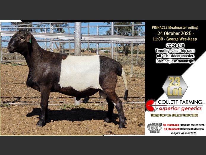 CC  240148 | COLLETT FARMING CC