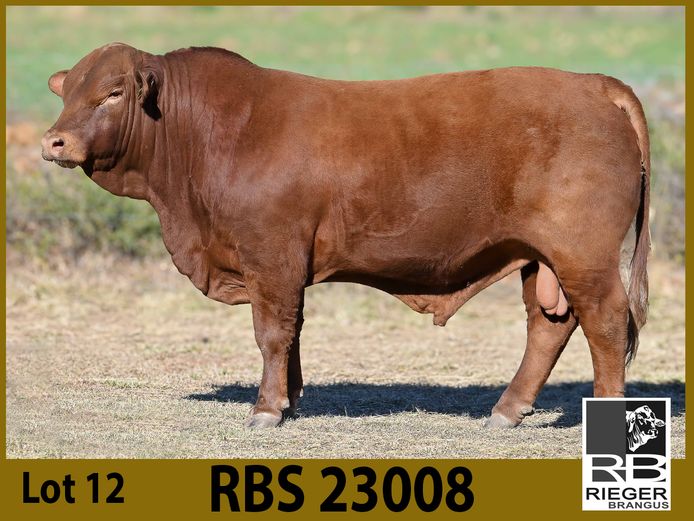 RBS23008 | SHARP MOVE TRADING 95 PTY LTD