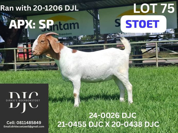 24-0026 DJC | DIRKIE COETZEE