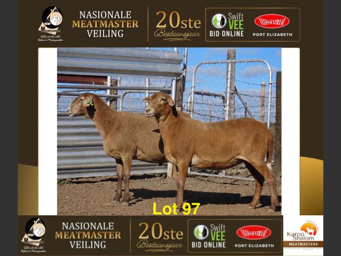 B25.3 | Karoo Shalom Meatmasters