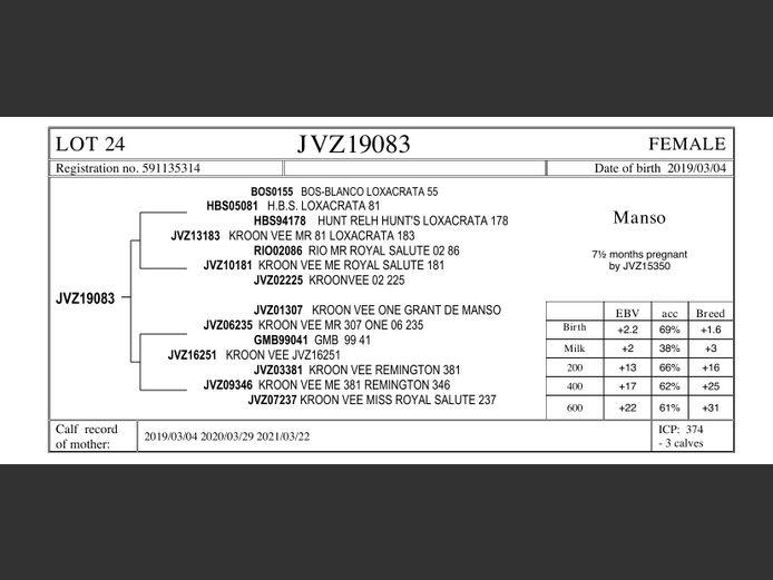 JVZ19-83