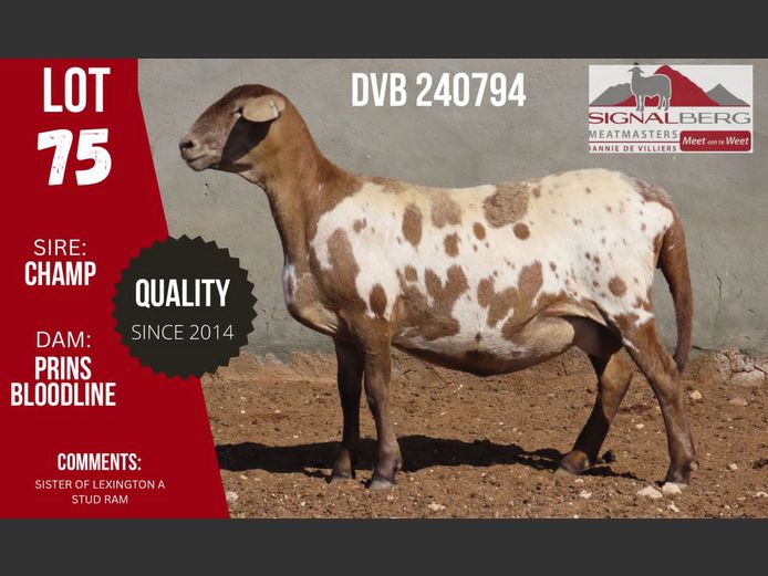 DVB 240794 | SIGNALBERG MEATMASTERS