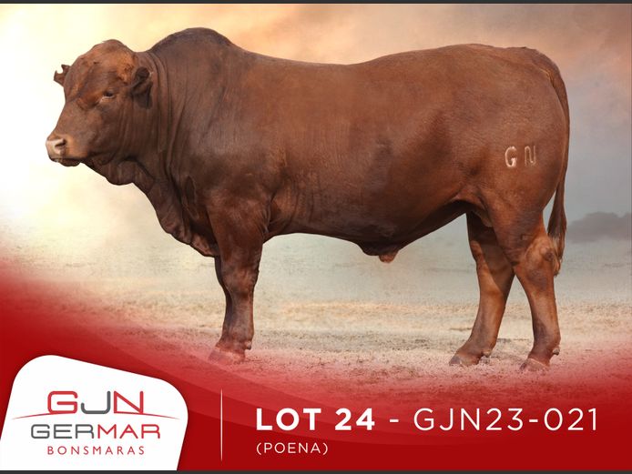 GJN230021