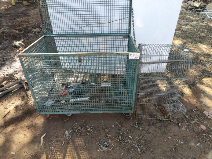 2 X CAGES