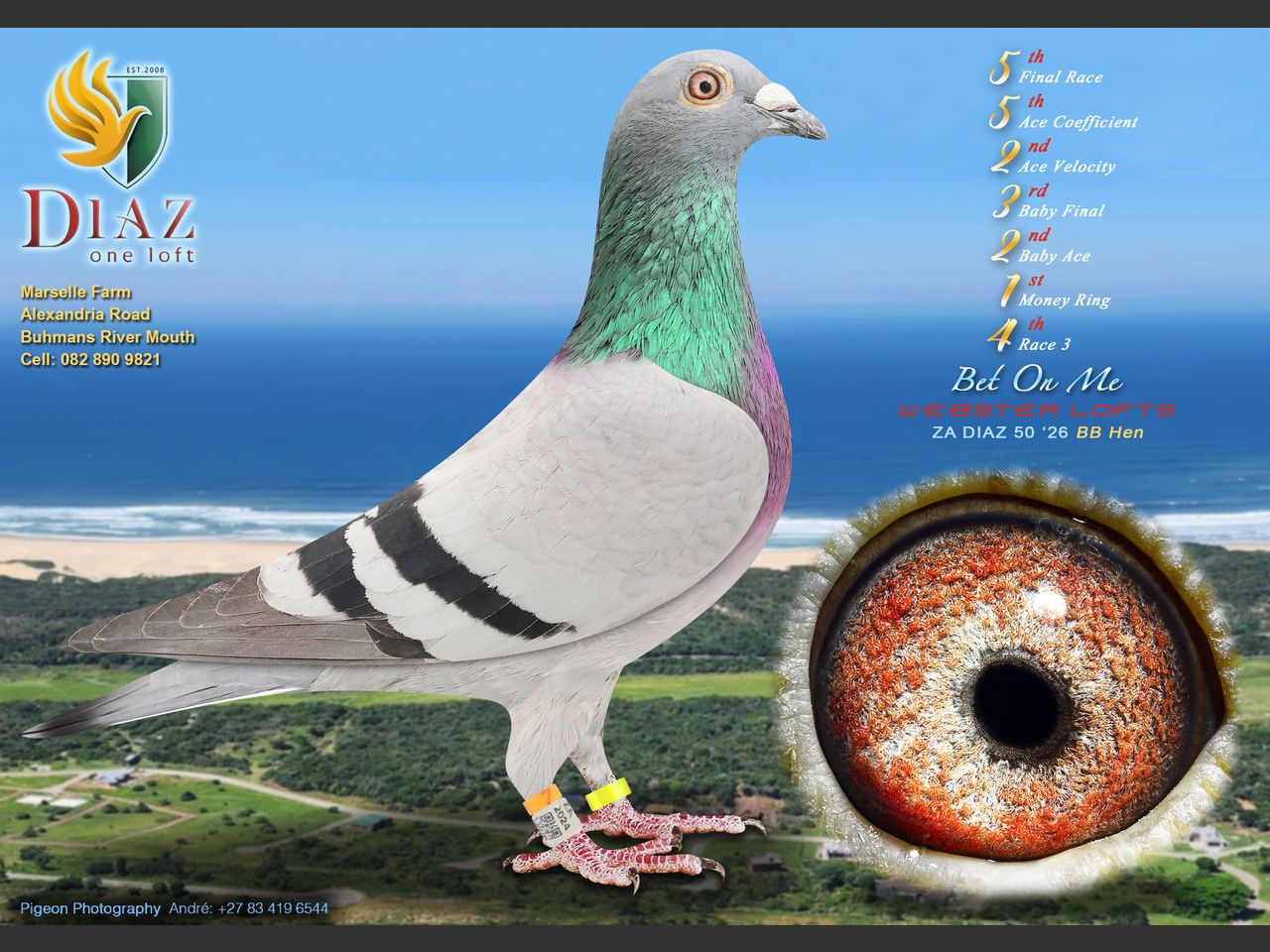 images