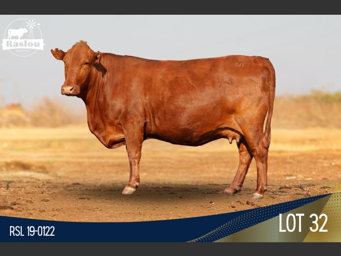 RSL 190122 | RASLOU BONSMARAS