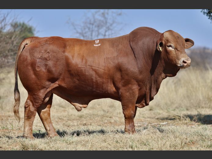 DO230067 HH | M.W.J. DE JAGER