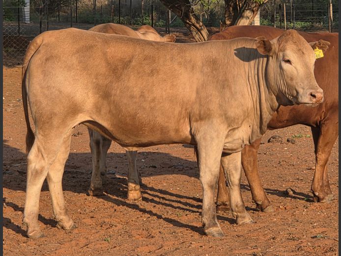 DKH240066 | DONKERHOEK BOERDERY TRUST